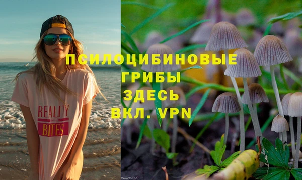 стафф Абаза