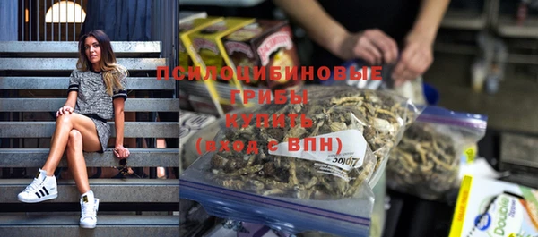 индика Осташков