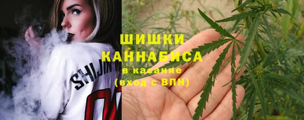 индика Осташков
