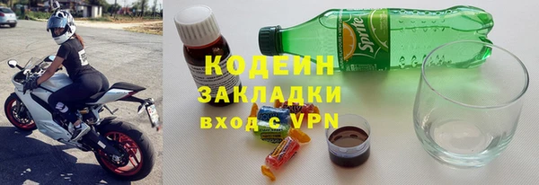 индика Осташков